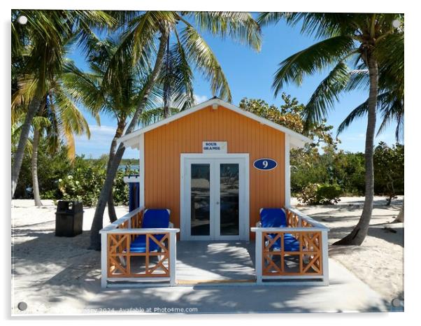 Sour Orange Beach Hut Bahamas Acrylic by Sheila Ramsey