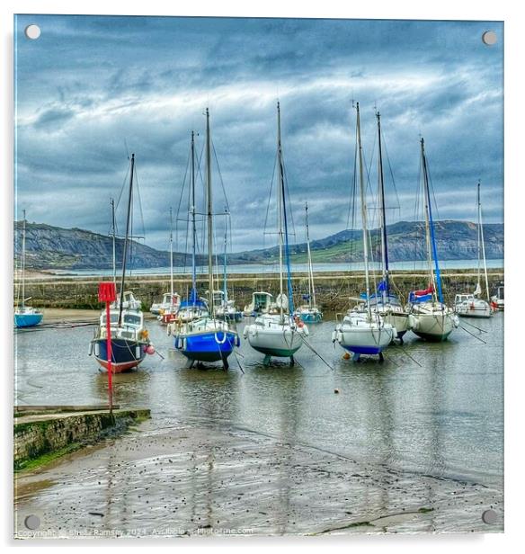 Sailing Yachts Lyme Regis Acrylic by Sheila Ramsey