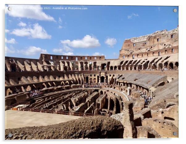 Inside the Colosseum Rome Acrylic by Sheila Ramsey