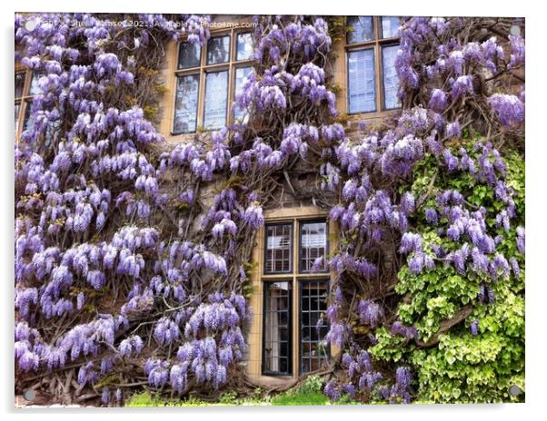 Wisteria Acrylic by Sheila Ramsey