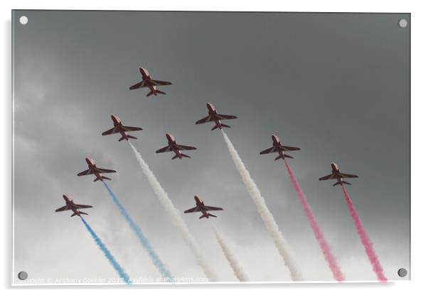 RAF Red Arrows Acrylic by Anthony Goehler
