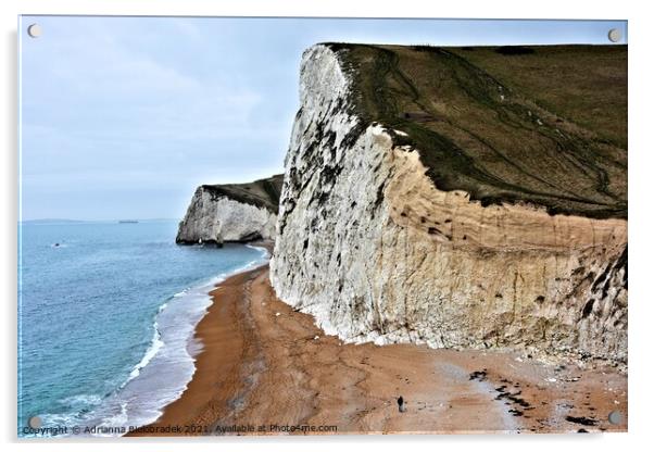 Jurassic coast Acrylic by Adrianna Bielobradek