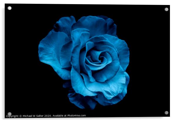 Blue Rose Acrylic by Michael W Salter