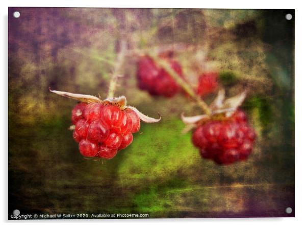 Raspberrys In the wild Acrylic by Michael W Salter