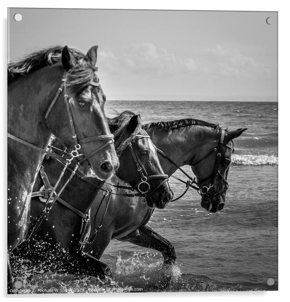 Horses on Three Cliffs Bay Acrylic by Michael W Salter