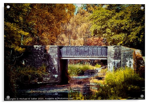 Autumn In South Wales Acrylic by Michael W Salter