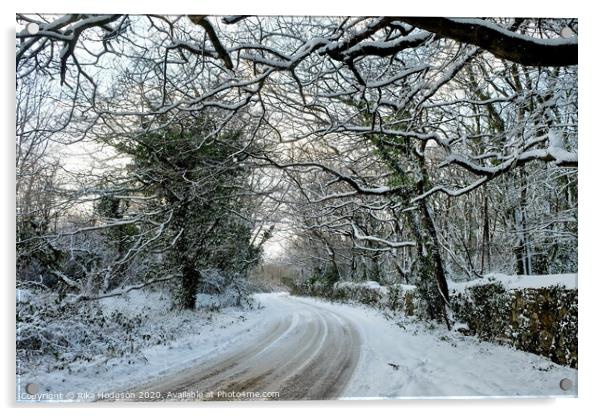 Winter Trees, Horsedowns Acrylic by Rika Hodgson