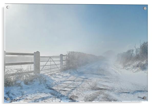 Snowy winds, Horsedowns, Cornwall Acrylic by Rika Hodgson