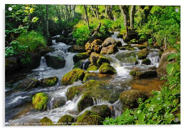 Lamorna Cove stream, Cornwall, England Acrylic by Rika Hodgson