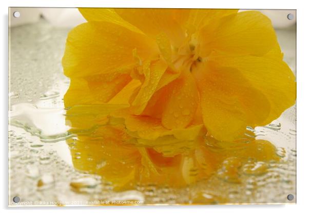 Yellow Begonia Acrylic by Rika Hodgson
