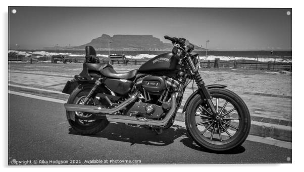 Black Sportster Iron, Cape Town, South Africa Acrylic by Rika Hodgson