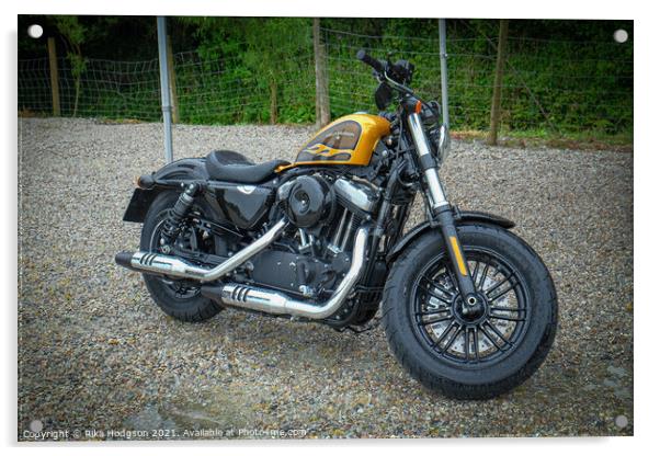 Harley Sportster 48 Special Acrylic by Rika Hodgson