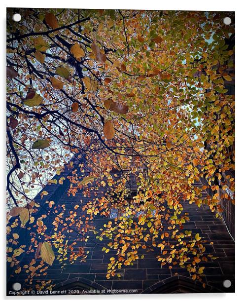 Autumn Acrylic by David Bennett
