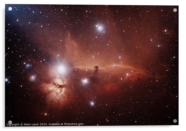 The Horsehead Nebula Acrylic by Peter Louer