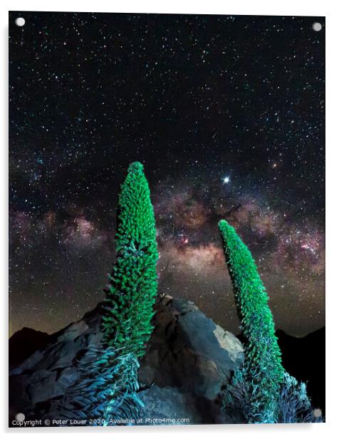 Tajinaste Plants reaching for the Milky Way Acrylic by Peter Louer