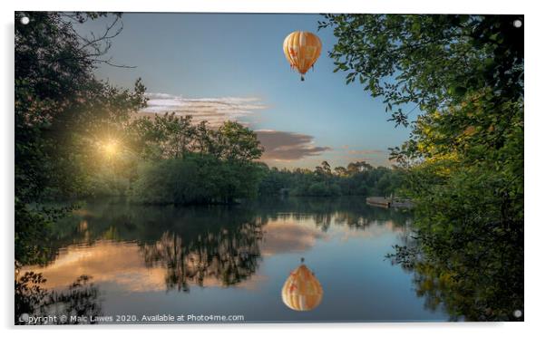 Sunrise Flight  Acrylic by Malc Lawes