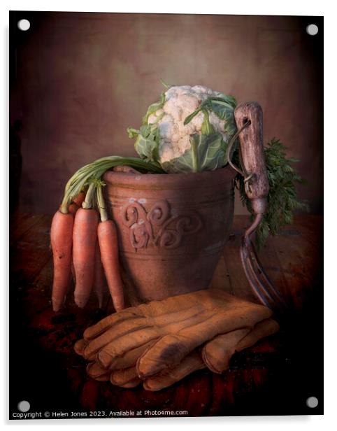 Vegetables and Plant pot  Acrylic by Helen Jones