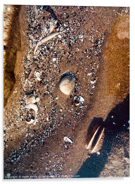 Shell Fragments in Sand  Acrylic by Helen Jones