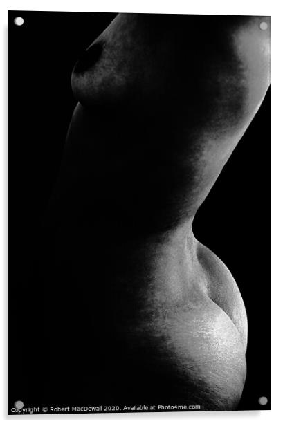Abstract female nude torso in monochrome Acrylic by Robert MacDowall