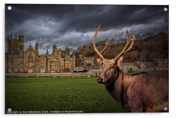 Margam Park Stag Acrylic by Kev Robertson
