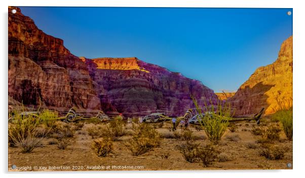 Grand Canyon helicopter landing site Acrylic by Kev Robertson