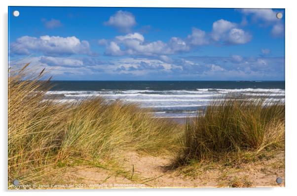 Seaside Serenity Acrylic by Janet Carmichael