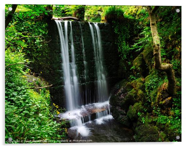 Alva Glen Waterfall Acrylic by Janet Carmichael