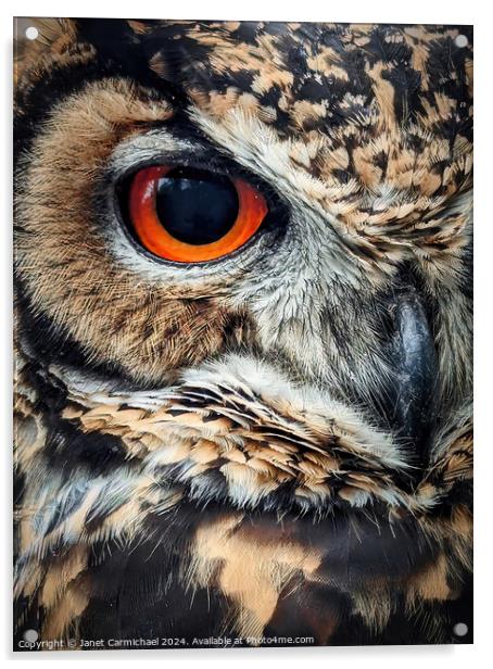 Portrait of an Owl Acrylic by Janet Carmichael
