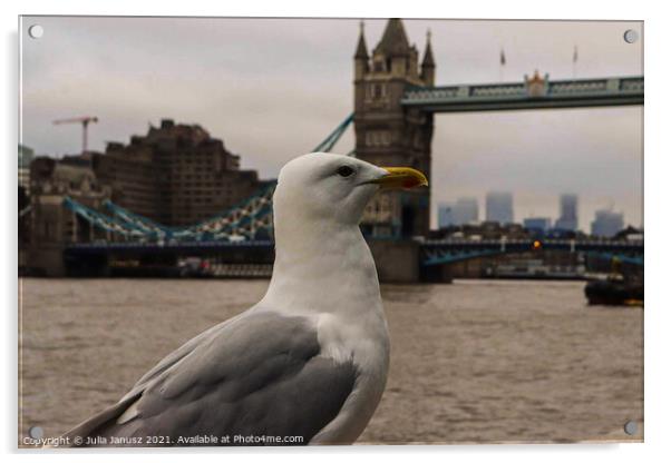 Seagull in London  Acrylic by Julia Janusz
