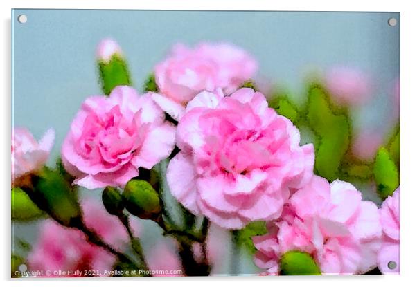 pink carnations digital art Acrylic by Ollie Hully