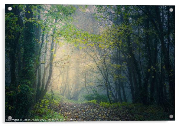 Misty Woodland Acrylic by Jason Atack