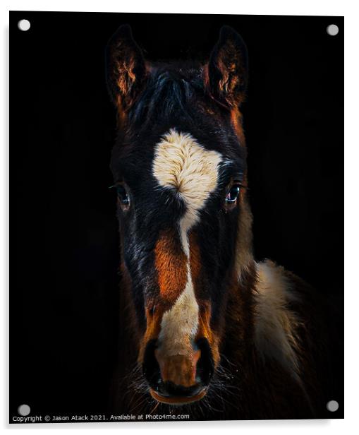 Horse Acrylic by Jason Atack