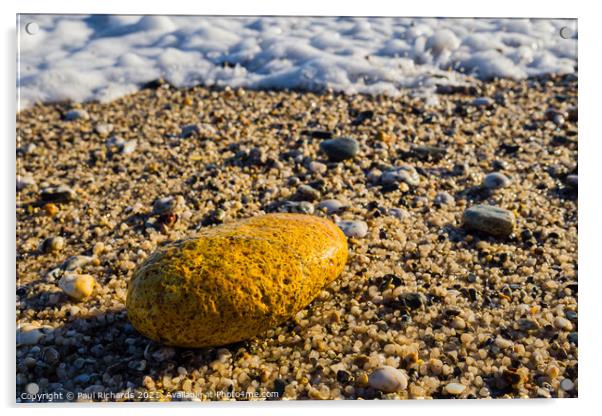 Rock on the beach Acrylic by Paul Richards