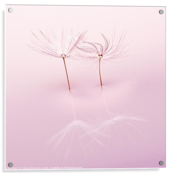 Dandelion twins  Acrylic by Clare Edmonds