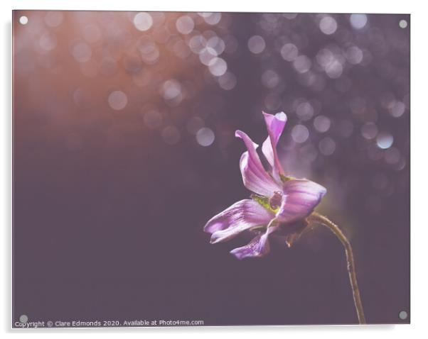 Purple Flower Acrylic by Clare Edmonds