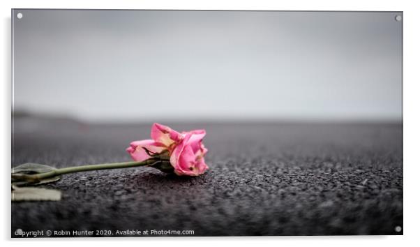 Pink Rose Acrylic by Robin Hunter