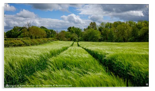 Fields of Green Acrylic by Robin Hunter