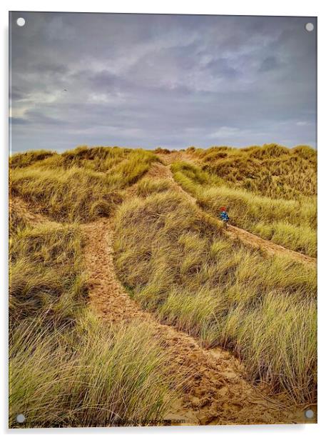 Port Talbot sand dunes  Acrylic by Zoe Burke
