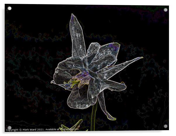 Aquilegia in Digital Acrylic by Mark Ward