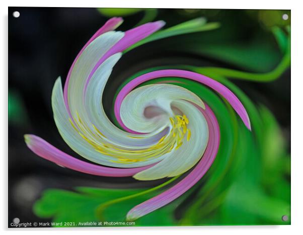 Aquilegia Swirl Acrylic by Mark Ward