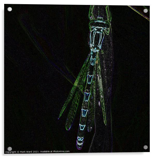 Glowing Damselfly Acrylic by Mark Ward