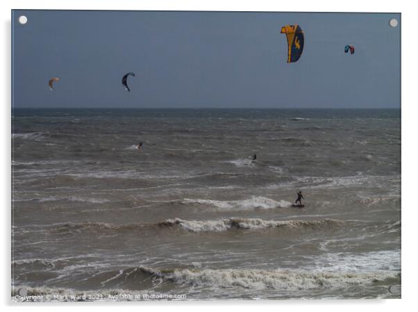 Ocean Flight. Acrylic by Mark Ward