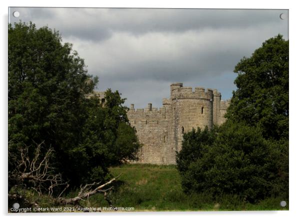 Bodiam Castle Through The Trees Acrylic by Mark Ward