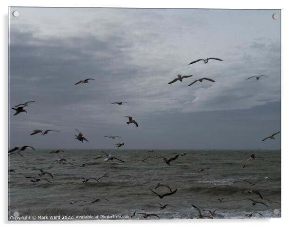 See Gulls. Acrylic by Mark Ward