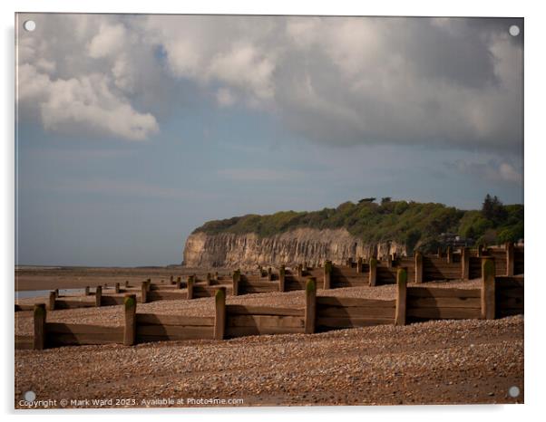 Pett Level at Low Tide Acrylic by Mark Ward