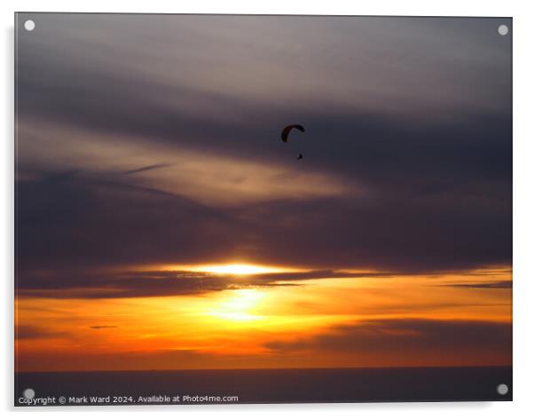 Sunset Flight Acrylic by Mark Ward