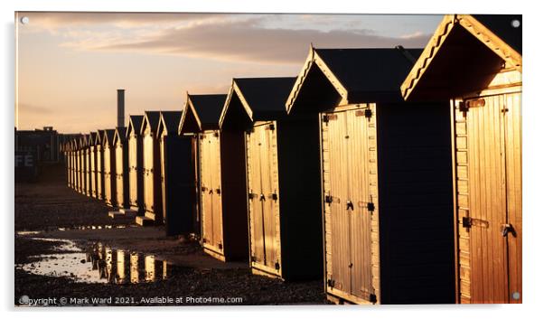 Sunkissed Freezing Beach huts. Acrylic by Mark Ward