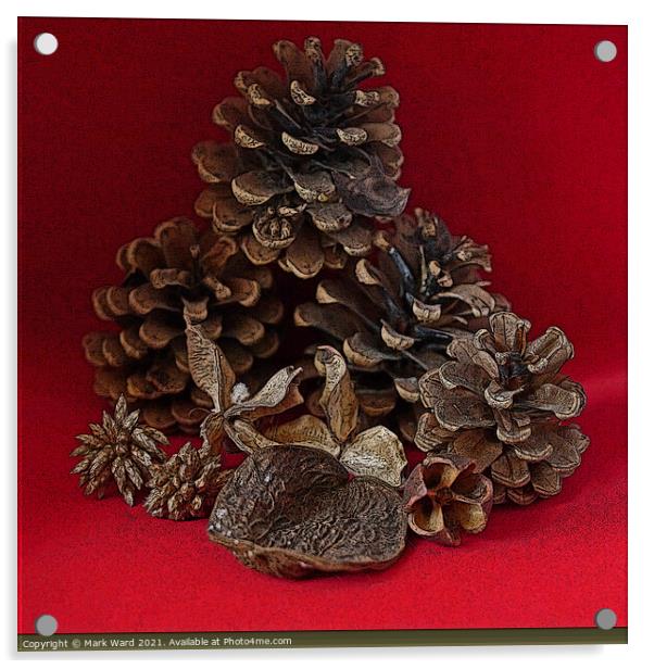 Pine Cones and Seed Cases. Acrylic by Mark Ward