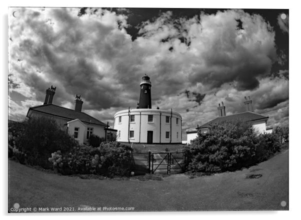 Dungeness Delight in Black and White. Acrylic by Mark Ward