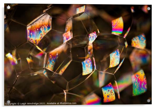 Colourful Bubbles Acrylic by Leigh Windridge